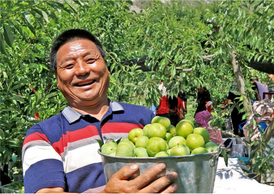 中國安防十大民族品牌