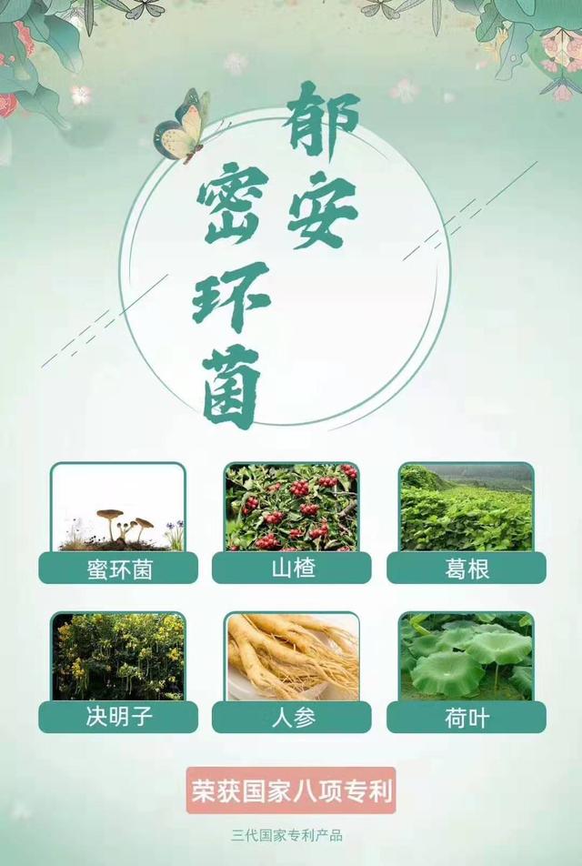 民族品牌工程