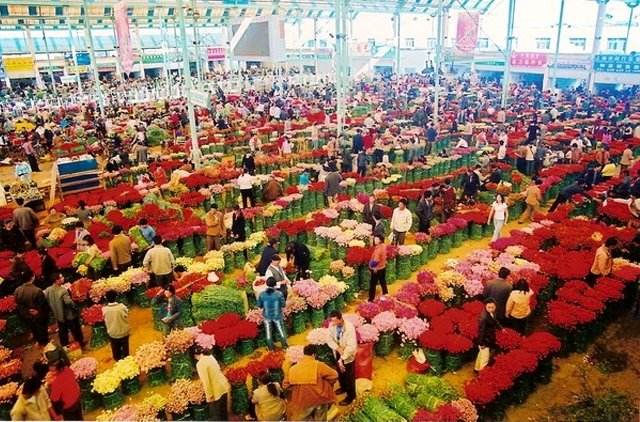 母親節(jié)鮮花如何選擇 鮮花有哪些品牌