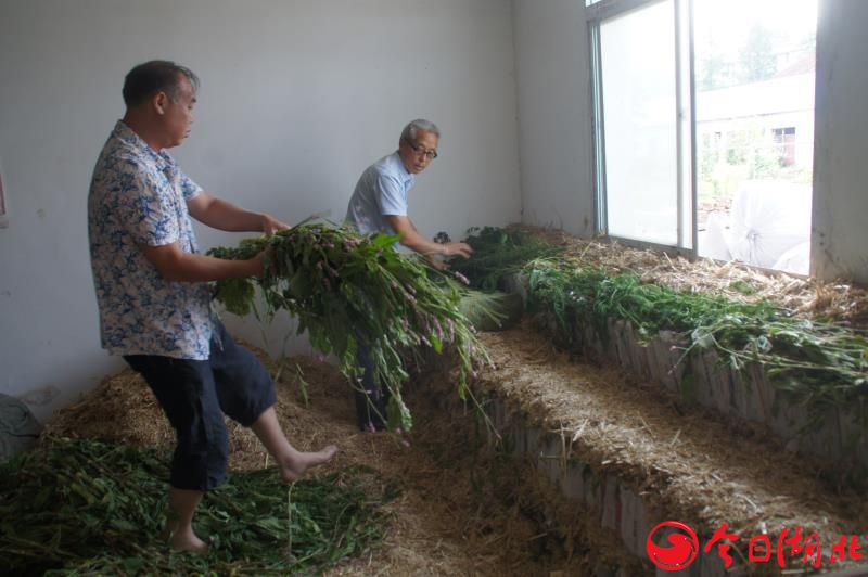 中國民族品牌