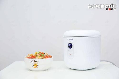 圈廚迷你電飯煲：體積小巧功能強大