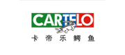 CARTELO卡帝樂鱷魚品牌