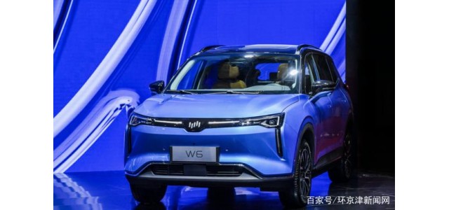 在2020中國品牌新車質量排行榜中，威馬汽車位列前三