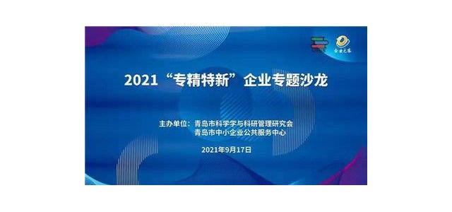 做強(qiáng)做大“專業(yè)化、創(chuàng)新型”企業(yè)專題沙龍熱議