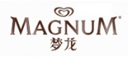 MAGNUM夢龍