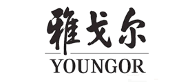 雅戈爾YOUNGOR