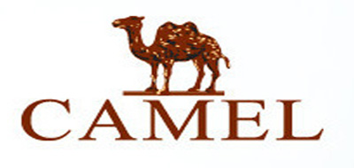 駱駝CAMEL